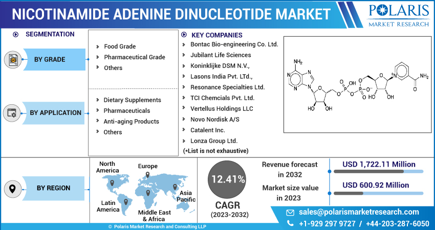 Nicotinamide Adenine Dinucleotide Market